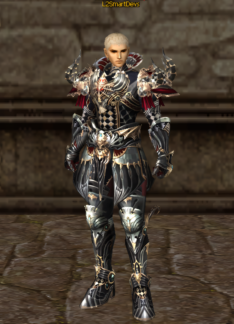 Armadura 11